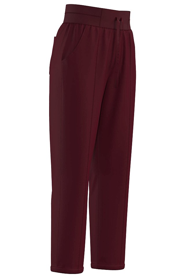 Брюки Эргофайв Актив (ERGOFIVE Active) EAPW04 женские бордо - upload/resize_cache/iblock/7b0/0nz73tn6foi34lmlk12u8zuk1e3t5siy/640_1002_1821712164bebe8964a3cb4f91f48bb72/1_1
